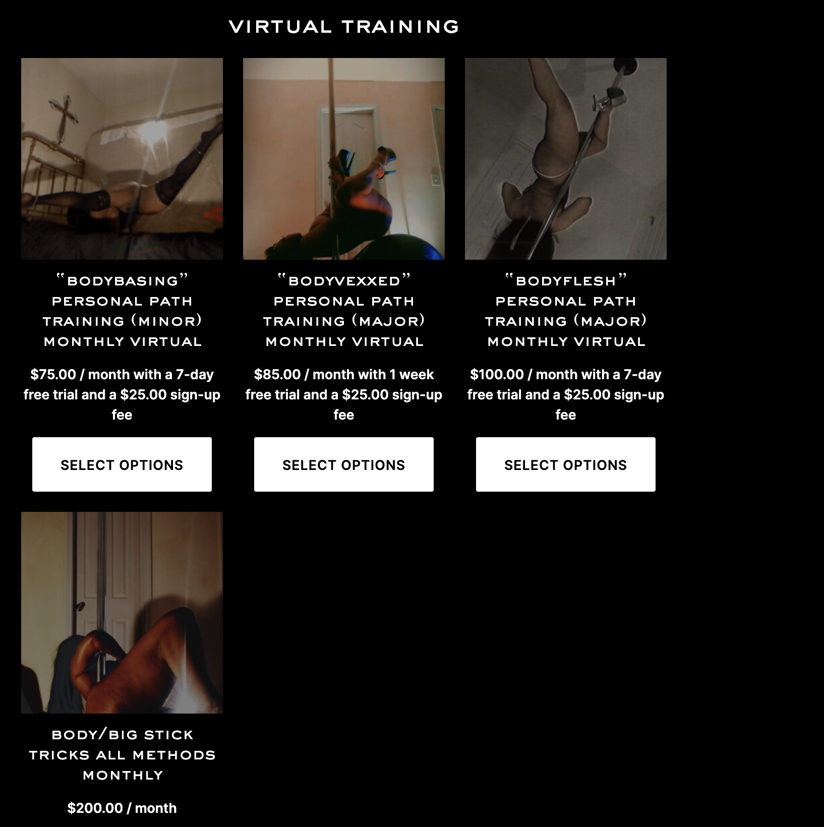 New! From Group Lessons to Major/Minor personal path Study — Virtual training via Performance Tempel