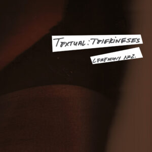 Textual:Telekinesis No.2 - artist's Website writing Workshop "Bodyasapparatus" (Virtual Only)