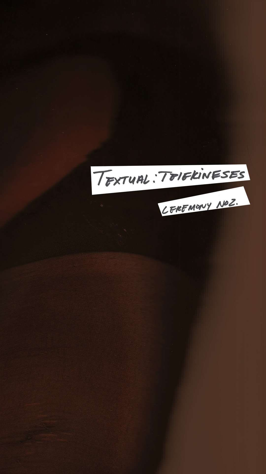 Textual:Telekinesis No.2 -  artist's Website writing Workshop "Bodyasapparatus" (Virtual Only)