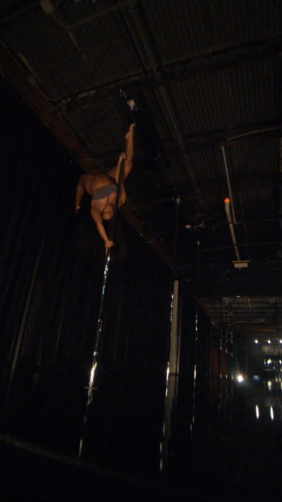 Butterfly (Floor/Standing/Aerial) “BodySculpt” Possession Polework  (virtual)